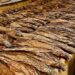 Empresa Hondureña de Tabaco comprará el 30% materia prima a República Dominicana